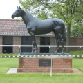 High quality bronze rearing horse sculpture